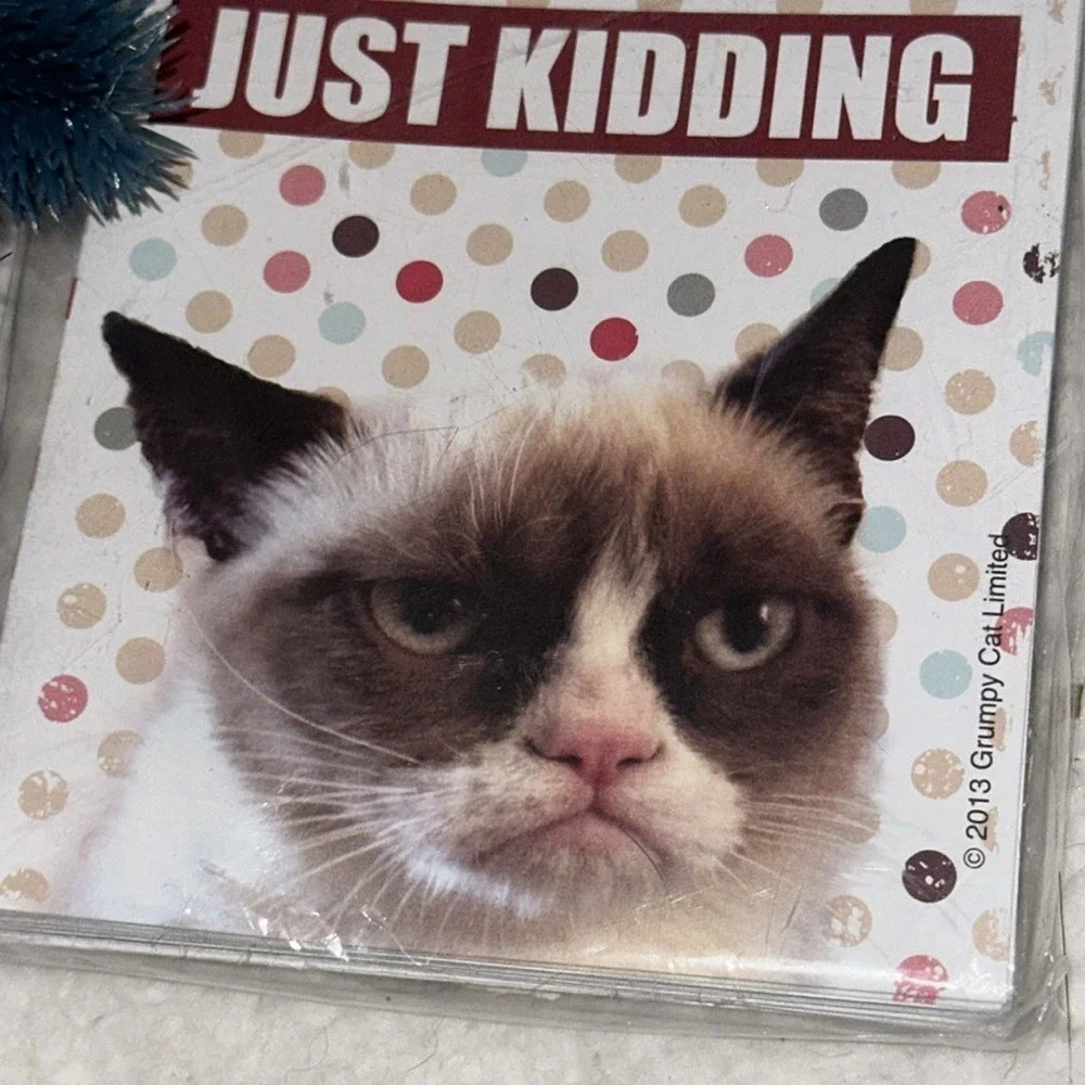 Grumpy Cat Blank Note Cards with Envelopes 8 Count Sarcastic Meme Stationery